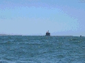 U-Boot vor der Bucht von Niantic.jpg